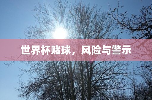 世界杯赌球，风险与警示