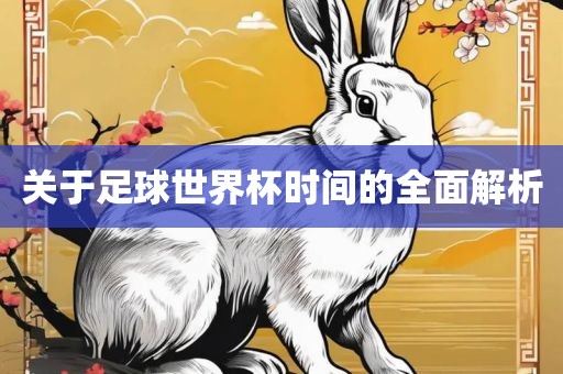 关于足球世界杯时间的全面解析