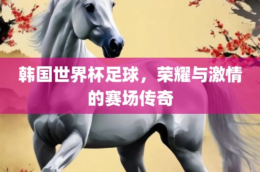 韩国世界杯足球，荣耀与激情的赛场传奇