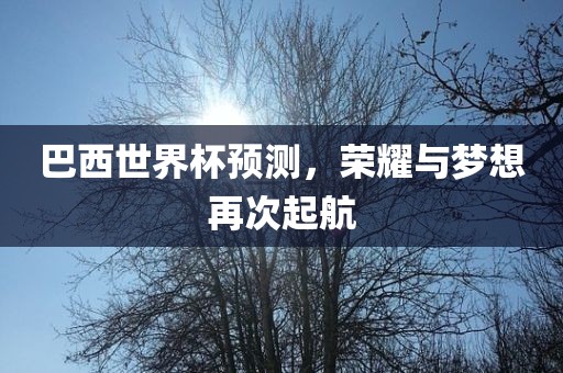 巴西世界杯预测，荣耀与梦想再次起航