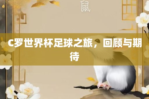 C罗世界杯足球之旅，回顾与期待