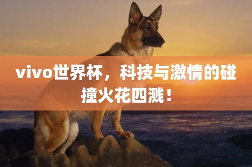 vivo世界杯，科技与激情的碰撞火花四溅！