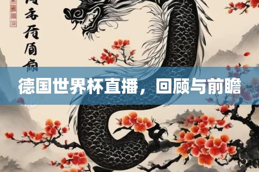 德国世界杯直播，回顾与前瞻