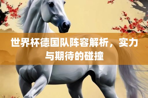 世界杯德国队阵容解析，实力与期待的碰撞