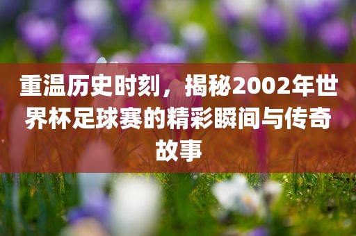 重温历史时刻，揭秘2002年世界杯足球赛的精彩瞬间与传奇故事