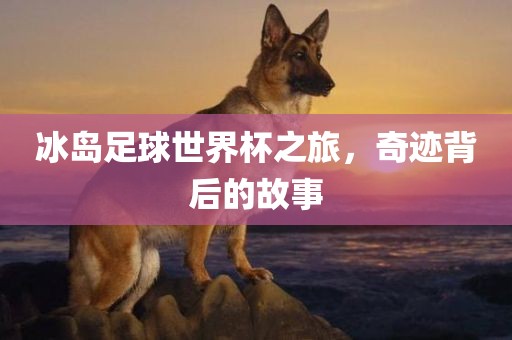 冰岛足球世界杯之旅，奇迹背后的故事