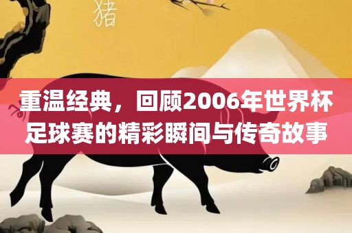 重温经典，回顾2006年世界杯足球赛的精彩瞬间与传奇故事