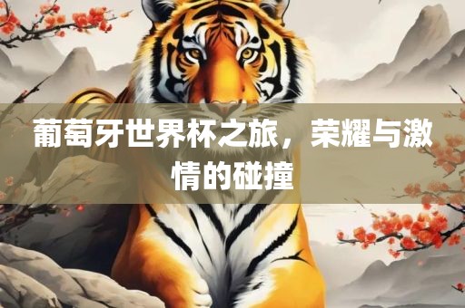 葡萄牙世界杯之旅，荣耀与激情的碰撞