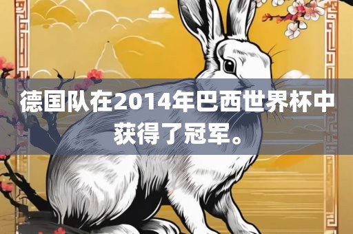 德国队在2014年巴西世界杯中获得了冠军。