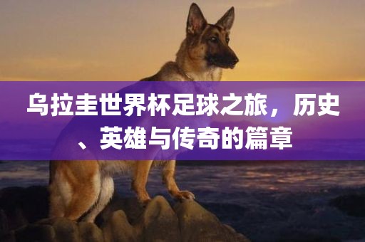 乌拉圭世界杯足球之旅，历史、英雄与传奇的篇章