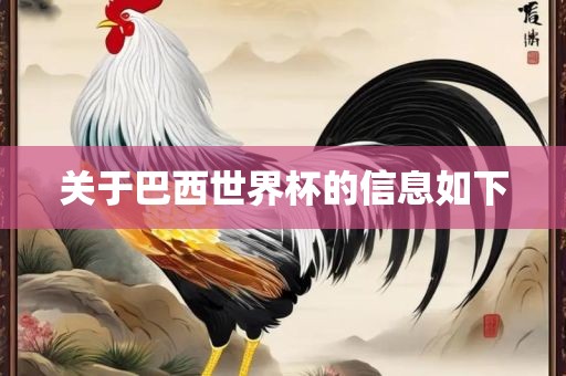 关于巴西世界杯的信息如下