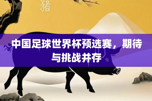 中国足球世界杯预选赛，期待与挑战并存