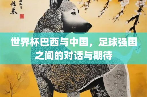 世界杯巴西与中国，足球强国之间的对话与期待