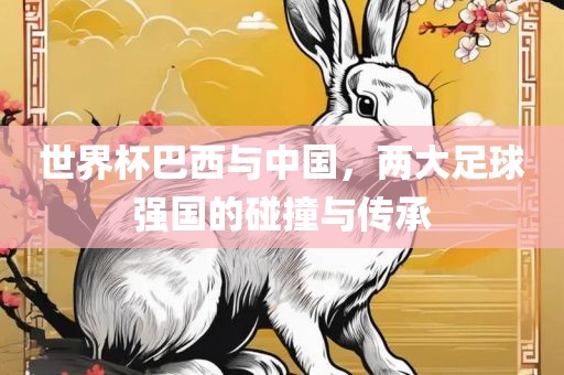 世界杯巴西与中国，两大足球强国的碰撞与传承