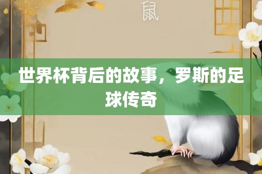 世界杯背后的故事，罗斯的足球传奇