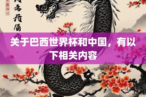 关于巴西世界杯和中国，有以下相关内容