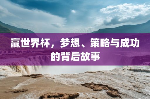 赢世界杯，梦想、策略与成功的背后故事