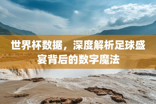 世界杯数据，深度解析足球盛宴背后的数字魔法