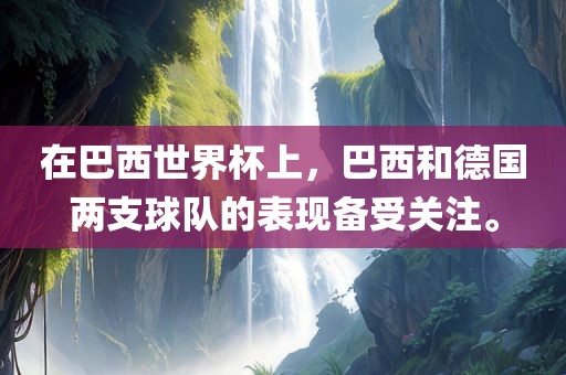 在巴西世界杯上，巴西和德国两支球队的表现备受关注。