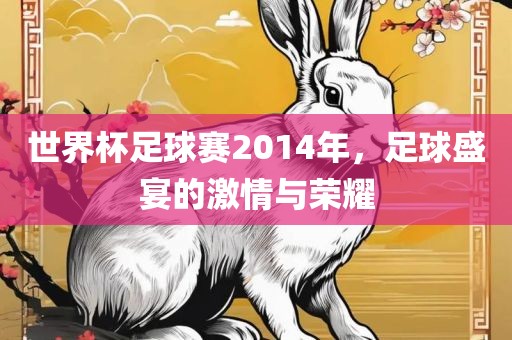 世界杯足球赛2014年，足球盛宴的激情与荣耀