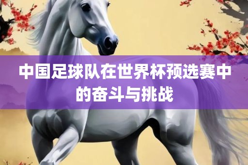 中国足球队在世界杯预选赛中的奋斗与挑战