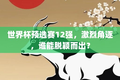 世界杯预选赛12强，激烈角逐，谁能脱颖而出？