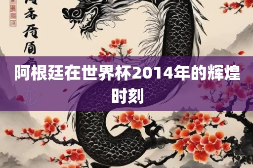 阿根廷在世界杯2014年的辉煌时刻