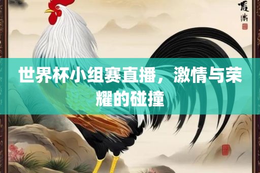 世界杯小组赛直播，激情与荣耀的碰撞