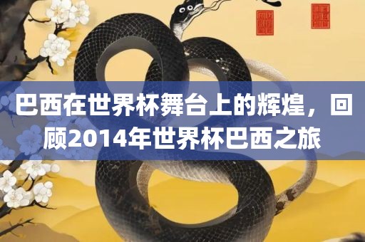 巴西在世界杯舞台上的辉煌，回顾2014年世界杯巴西之旅