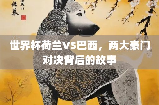 世界杯荷兰VS巴西，两大豪门对决背后的故事
