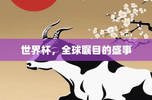 世界杯，全球瞩目的盛事