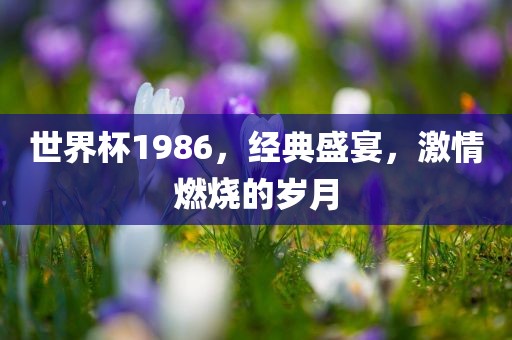 世界杯1986，经典盛宴，激情燃烧的岁月