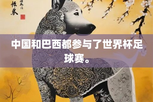 中国和巴西都参与了世界杯足球赛。