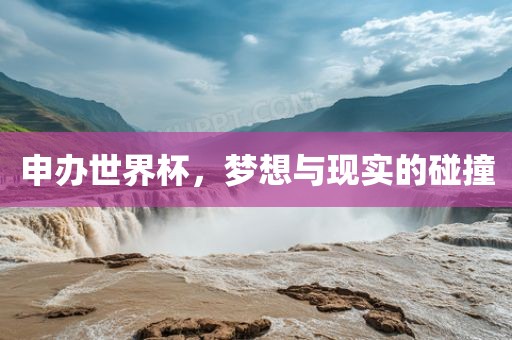 申办世界杯，梦想与现实的碰撞