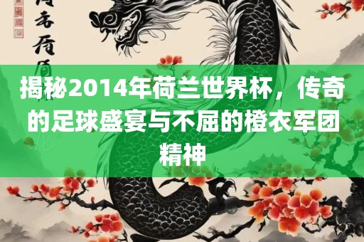 揭秘2014年荷兰世界杯，传奇的足球盛宴与不屈的橙衣军团精神