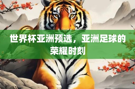世界杯亚洲预选，亚洲足球的荣耀时刻