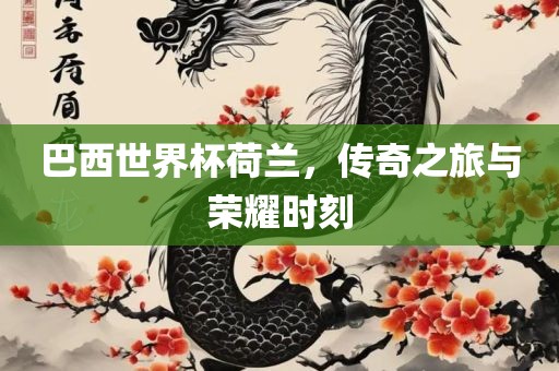 巴西世界杯荷兰，传奇之旅与荣耀时刻