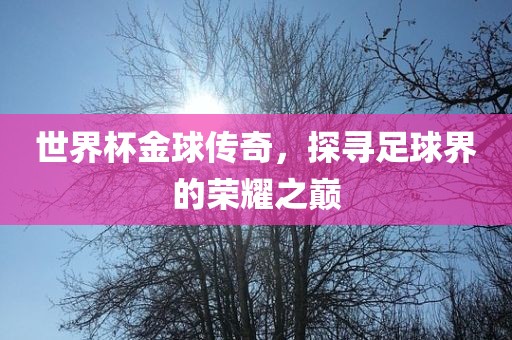 世界杯金球传奇，探寻足球界的荣耀之巅