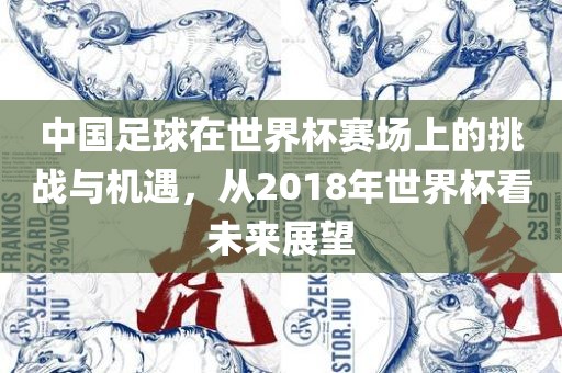 中国足球在世界杯赛场上的挑战与机遇，从2018年世界杯看未来展望