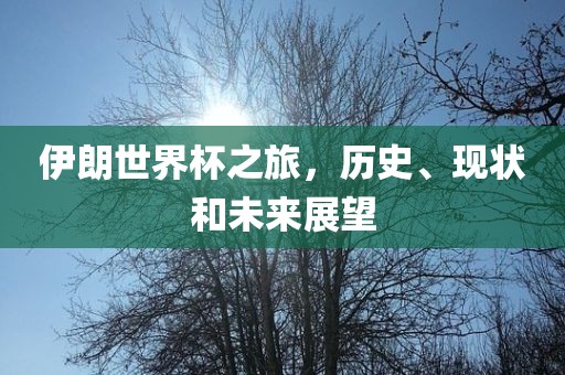伊朗世界杯之旅，历史、现状和未来展望