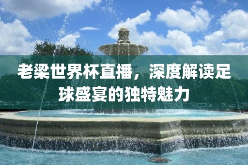 老梁世界杯直播，深度解读足球盛宴的独特魅力