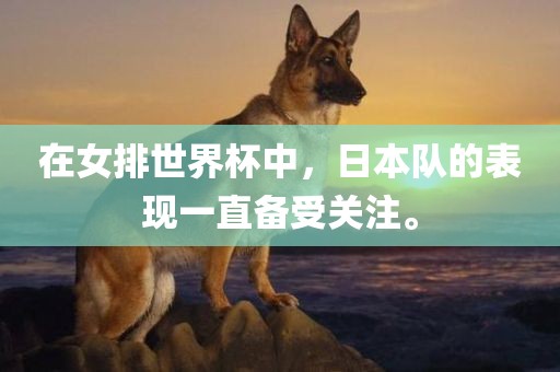 在女排世界杯中，日本队的表现一直备受关注。