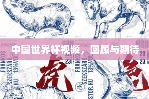 中国世界杯视频，回顾与期待