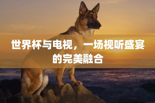 世界杯与电视，一场视听盛宴的完美融合