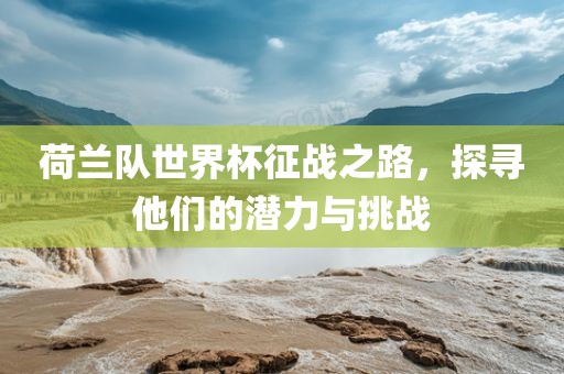 荷兰队世界杯征战之路，探寻他们的潜力与挑战