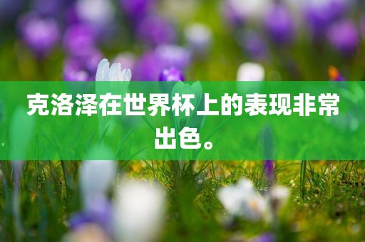 克洛泽在世界杯上的表现非常出色。