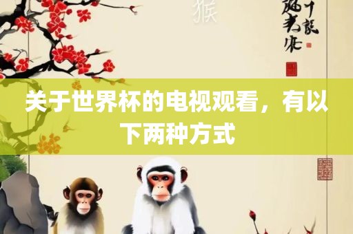 关于世界杯的电视观看，有以下两种方式