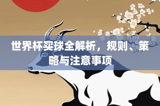 世界杯买球全解析，规则、策略与注意事项