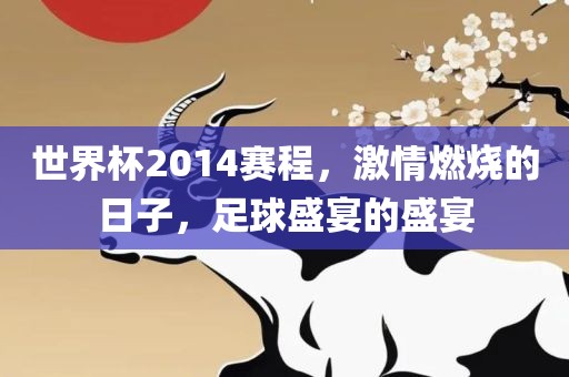 世界杯2014赛程，激情燃烧的日子，足球盛宴的盛宴