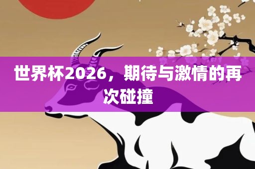 世界杯2026，期待与激情的再次碰撞